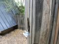 IMG 1362